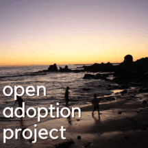 Open Adoption Project