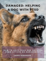 Damaged: Helping A Dog With PTSD: Keeping Dogs Safe, #2