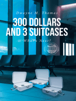 300 Dollars and 3 Suitcases: What's Next?