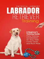 Labrador Retriever Training: A Beginner’s Training Guide - Potty Training, Socialization, Sit, Stay, Heel, Come, Leash, and Much More: Smart Dog Training, #2