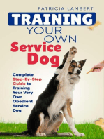 Training Your Own Service Dog