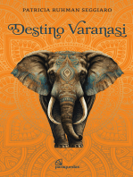 Destino Varanasi