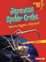 Japanese Spider Crabs: Nature's Biggest Arthropod