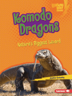 Komodo Dragons: Nature's Biggest Lizard