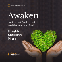 Awaken! : Hadiths to Awaken and Heal the Heart and Soul