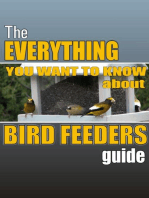 The Everything you Want to Know About Bird Feeders Guide