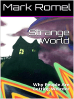 Strange World: Why People Are Getting Weirder: The Seer of Unreality, #3