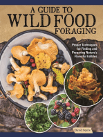 A Guide to Wild Food Foraging: Proper Techniques for Finding and Preparing Nature's Flavorful Edibles
