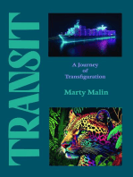 Transit: A Journey of Transfiguration