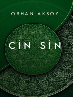 Cin Sin