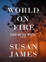 World on Fire: Cady and Blue Mystery, #2