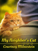 My Neighbor's Cat