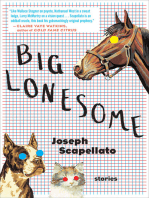 Big Lonesome: Stories