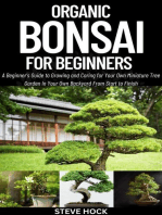 Organic Bonsai for Beginners: Profitable gardening, #1