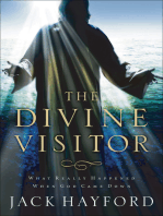 The Divine Visitor