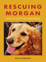 Rescuing Morgan: Love is Just the Beginning