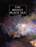 The Bright Black Sea: The Lost Star Stories, #1