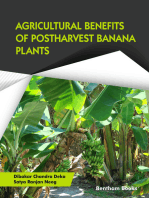 Agricultural Benefits of Postharvest Banana Plants