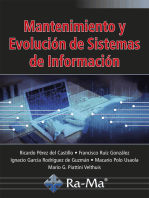 Mantenimiento y Evolución de Sistemas de información
