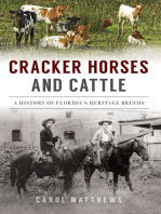 Cracker Horses and Cattle: A History of Florida’s Heritage Breeds
