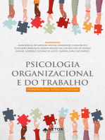 Psicologia organizacional e do trabalho: Perspectivas teórico-práticas