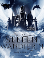 Die letzte Seelenwandlerin - Dark Kingdom: Band 2 der Urban Fantasy Trilogie zwischen den Himmeln