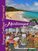 Martinique: Voyage Experience