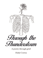 Through the Thunderstorm: A poetry through grief