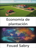 Economía de plantación: Cultivando la prosperidad y la injusticia, una inmersión profunda en las economías de las plantaciones