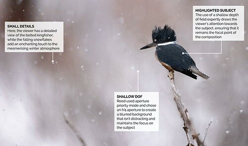 Include And Exclude - Photography Week | Everand