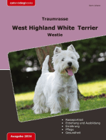 Traumrasse: West Highland White Terrier: Westie