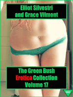 The Green Bush Erotica Collection Volume 17