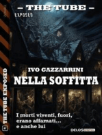 Nella soffitta