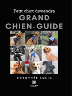 Petit chiot deviendra grand chien-guide