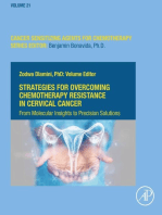 Strategies for Overcoming Chemotherapy Resistance in Cervical Cancer: From Molecular Insights to Precision Solutions