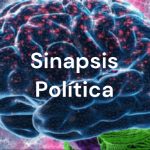 Sinapsis Política