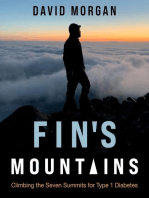 Fin's Mountains