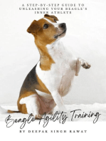 Beagle Agility Training: A Step-by-Step Guide to Unleashing Your Beagle's Inner Athlete