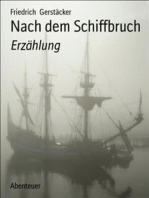 Nach dem Schiffbruch: Erzählung