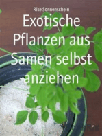 Exotische Pflanzen aus Samen selbst anziehen