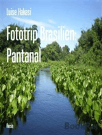 Fototrip Brasilien: Pantanal