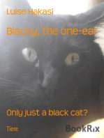 Blacky, the one-ear: Only just a black cat?