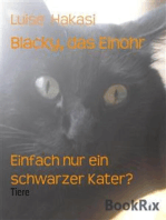 Blacky, das Einohr: Einfach nur ein schwarzer Kater?