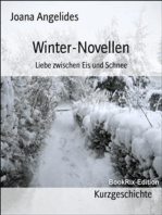Winter-Novellen