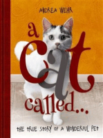 A Cat Called ...: The true story of a wonderful pet