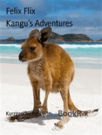 Kangu’s Adventures