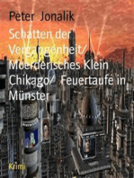 Schatten der Vergangenheit/ Moerderisches Klein Chikago/ Feuertaufe in Münster