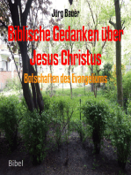 Botschaften des Evangeliums: Biblische Gedanken über Jesus Christus