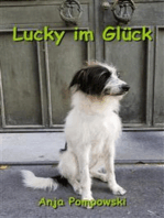 Lucky im Glück