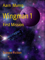 Wingman 1: First Mission